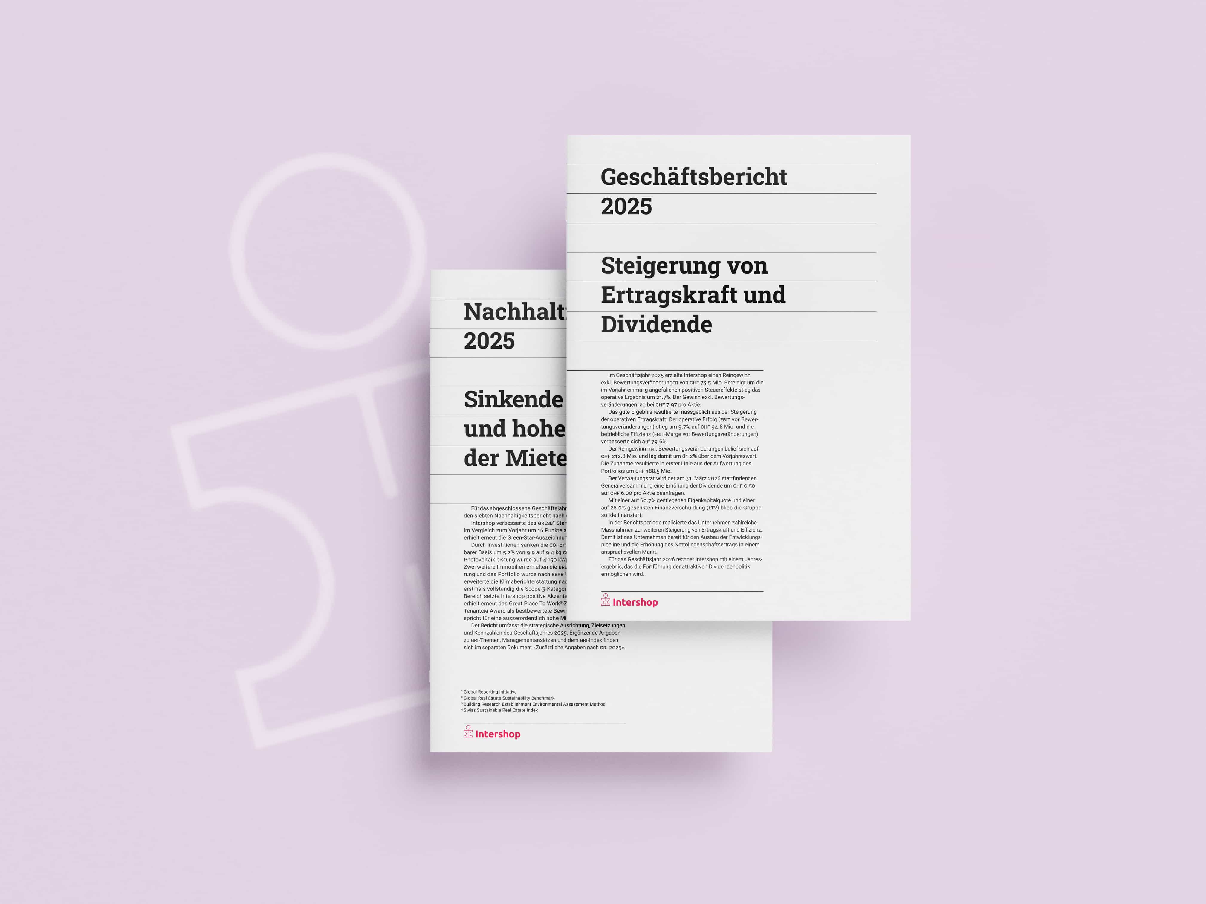 Jahresbericht Intershop Werbeagentur