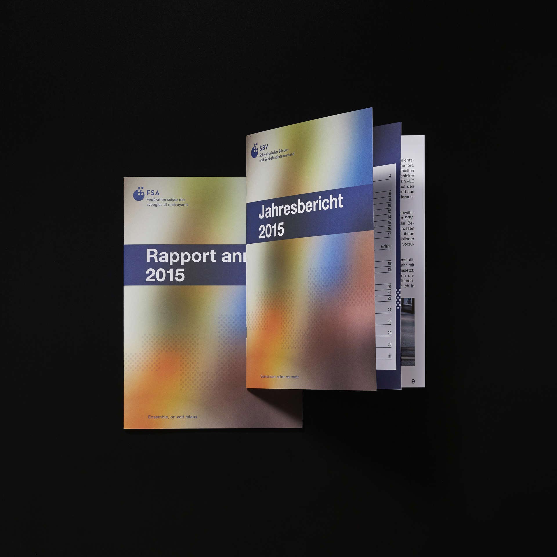 Titelblatt Jahresbericht Schweizerischen Blinden- und Sehbehindertenverband SBV